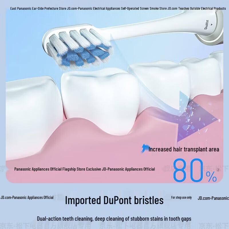 Panasonic DC20 Sonic Electric Toothbrush