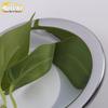 Corolla Fog Light Trim Rings: Decorative Electroplated Covers for 14 Corolla Models