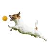 PLATZ PET SUPPLIES FUN Dog Toy Atomic Ball Large Red &