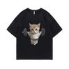 Lustiges Fitnessstudio Sam Sulek Katze Grafikdruck T-Shirt Damen Süßes Fitnessstudio Kürbis T-Shirt Damen Emoji Kurzarm T-Shirt Grafik T-Shirts