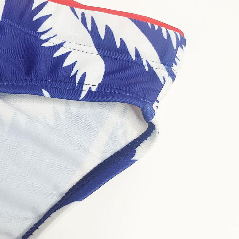 Men's  Fashion Strips Sexy Men's Brief Sexy Printed Swimsuit for Men Surfing Swimwear Low-Rise