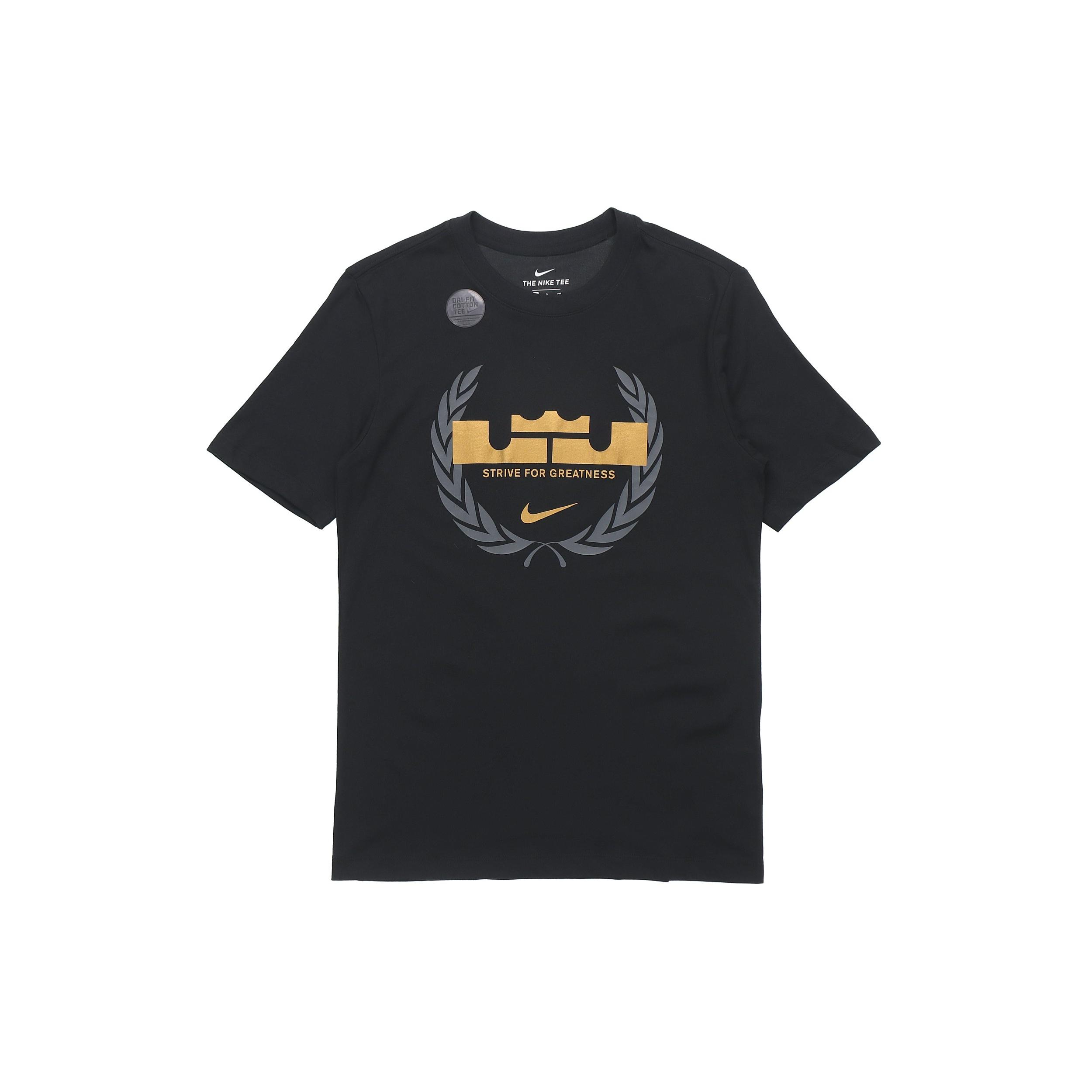 Nike Dri-FIT LeBron Logo Round Neck Quick Dry Basketball Sports Short Sleeve Black Men s CV2048-010 M