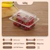 Portable Disposable Transparent Plastic Rectangular Fruit Packaging Box with Lid