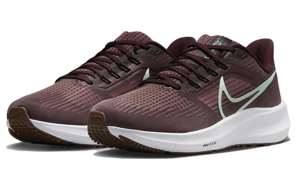 Nike Air Zoom Pegasus 39 'Canyon Rust Burgundy Crush White Mint Foam' Women's DH4072-600