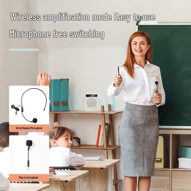 Deli LT890 Portable Voice Amplifier