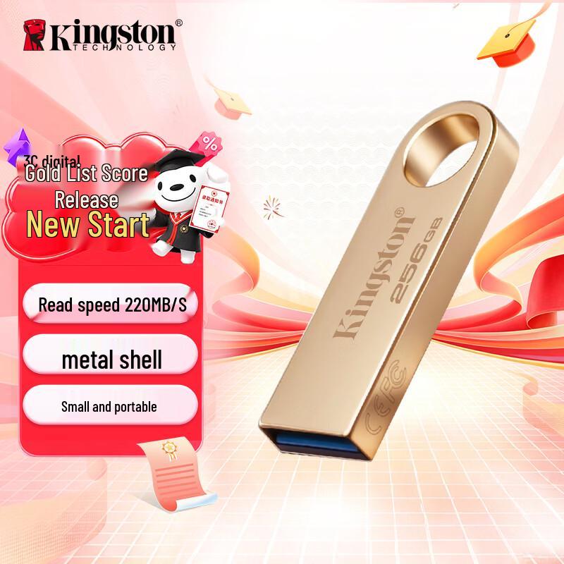 Kingston DataTraveler SE9 G3 USB 3.2 Gen 1 Flash Drive 256GB