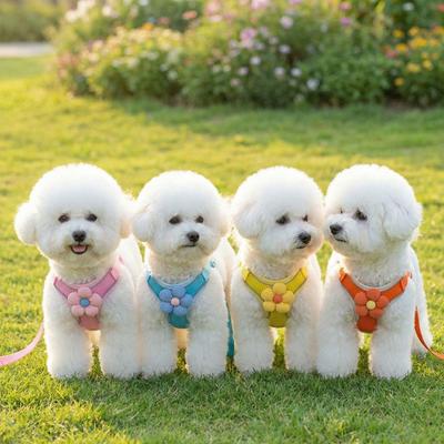 Honden – Halsbanden en hondenriemen
