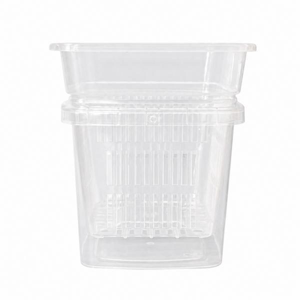 6xClear Orchid Pot 3 Pack, Square Polypropylene Slotted for Roots with Drainage System,