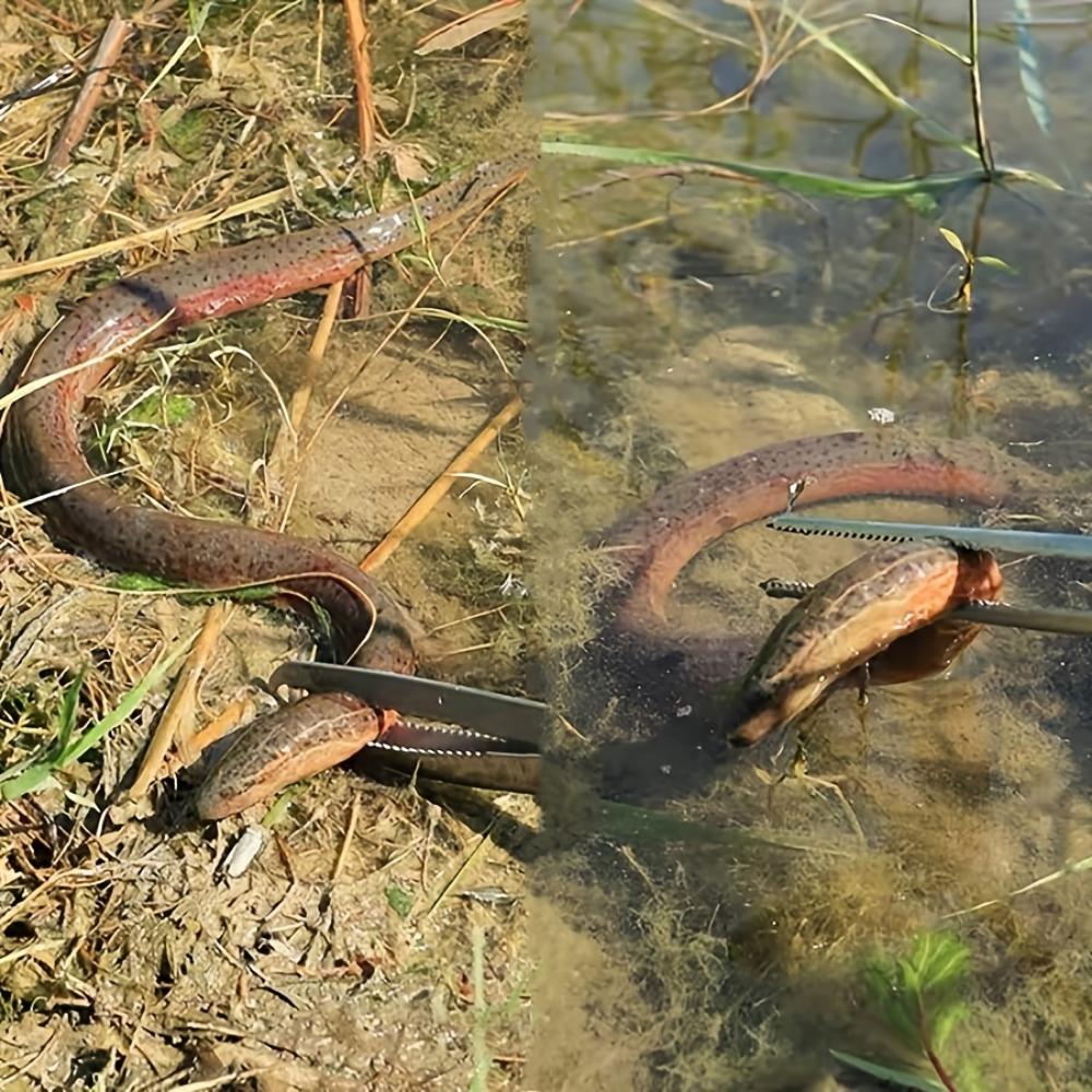 Pinze da pesca in acciaio inossidabile resistenti, forbici multifunzionali antiscivolo con impugnatura in plastica per la pesca di granchi e gamberetti