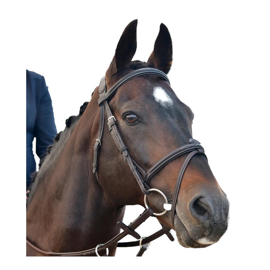Collegiate Comfitec Opulux Padded Leather Stitch Horse Bridle