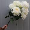 7-Head Chrysanthemum Artificial Silk Flower for Memorial and Cemetery Display During Tomb Sweeping Day.