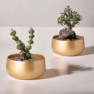 Pack of 2 Zoe Metal Plant Pots, Indoor Planter Flower Pots with Drainage Hole, Home Garden Decor Planter for Living Room Bedroom Interior