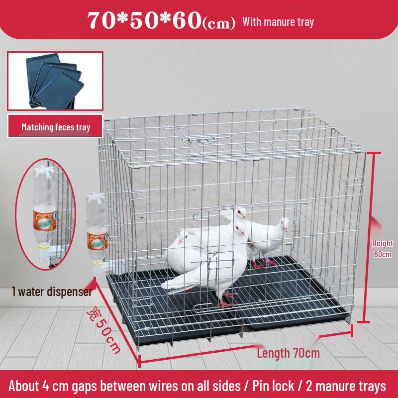 Large Pigeon Cage for Breeding & Pairing with Free Shipping - Ideal for Household Use