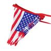 USA Stars & Stripes Cotton Triangle Flag - 3m, 5m, 10m Outdoor Tent & Camping Decor