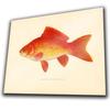 f1Vintage Goldfish METAL SIGN WALL PLAQUE Poster Print Art Picture Hanging
