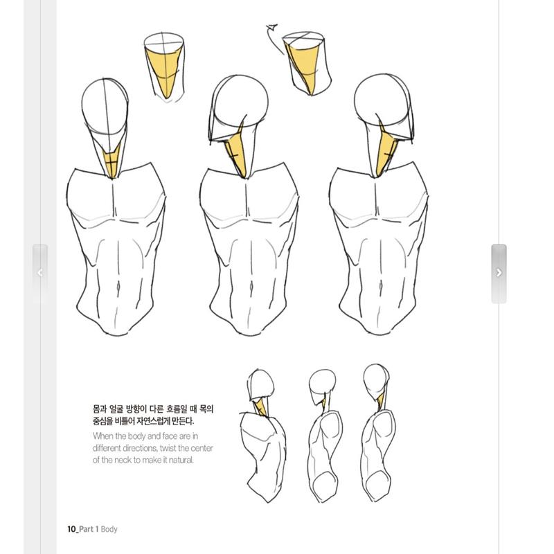 TACO Bod Kresba postavy od Lezhin Průvodce kreslením lidského těla Korejština Angličtina