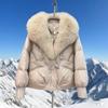 Winter new big fur collar cotton clothes down cotton clothes women's short thickened anti-leather jacket