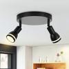Ceiling Spotlight - NETTLIFE - Nettlife Black Spotlight - 2x GU10 - Swivel - Metal