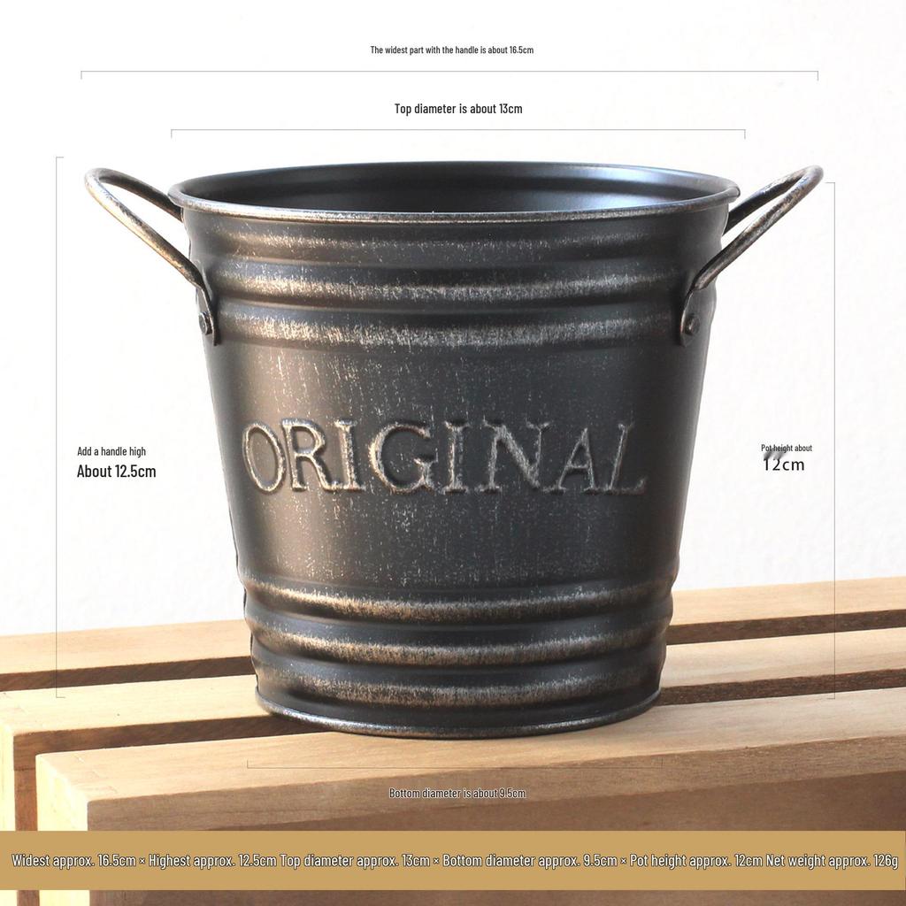 Vintage Double-Handled Iron Basin - Pansy Flower Pot with Retro Distressed Lettering for Garden Decoration