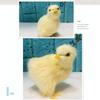 Realistic Chick Decoration Cute Easter Chick Figurine Simulation Chick Easter DIY Miniature Chicken Garden Ornament Home Decor
