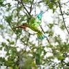 Glazed Iron Glass Hummingbird Wind Chimes Green Blue Colors Stained Glass Ornament For Window Outdoor Garden Hanging Decoration