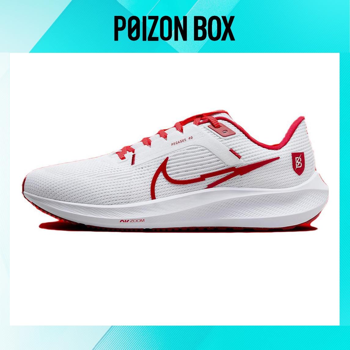 

кроссовки Nike Air Zoom Pegasus 40 Running shoes Men FJ2844-100