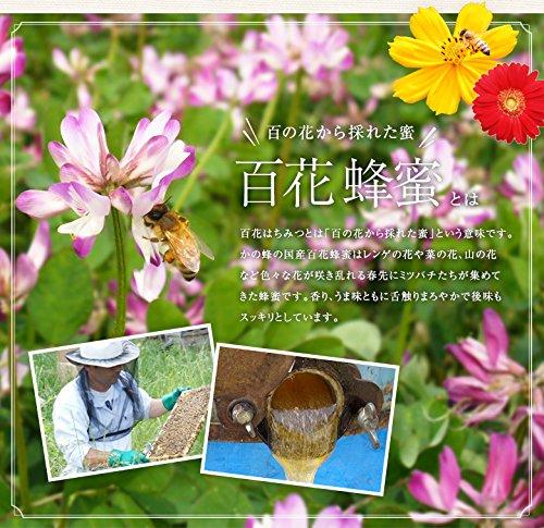Kanohachi Multi-Flower Honey 1000g Pure Honey from Fully Ripened Bees Bottle Container