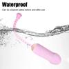 Wireless Remote Control Vibrating Egg Multi Frequency Mini Vibrator