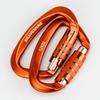 BRAVESHINE 12KN 1200kg Weight Lightweight Locking Carabiner with for Luggage and Dog Set of 2 Auto-Locking Carabiner, Capacity, D-Ring, Hammocks,