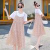 Maternity Clothes New Dress Floral Zou Ju Spring and Summer Thin Fake Two Loose Large Size Medium and Long T-shirt Skirt