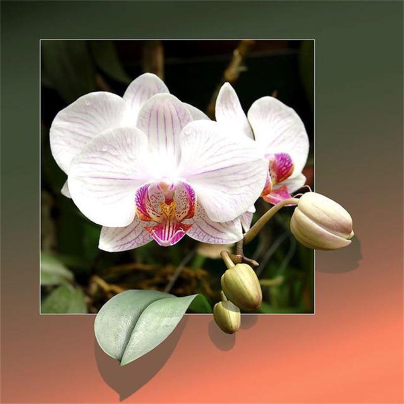 Diamond Painting Animal Cross Stitch Diamond Embroidery Cartoon Full Drill Display Diamond Mosaic Kit Scenery Art