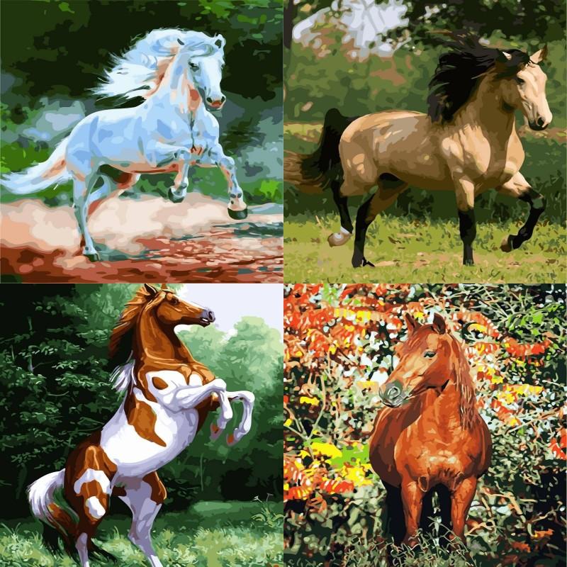 buy frameless pentium horse paint by number kit diy acrylic oil painting on modern canvas art decor at affordable prices free shipping real reviews with photos joom