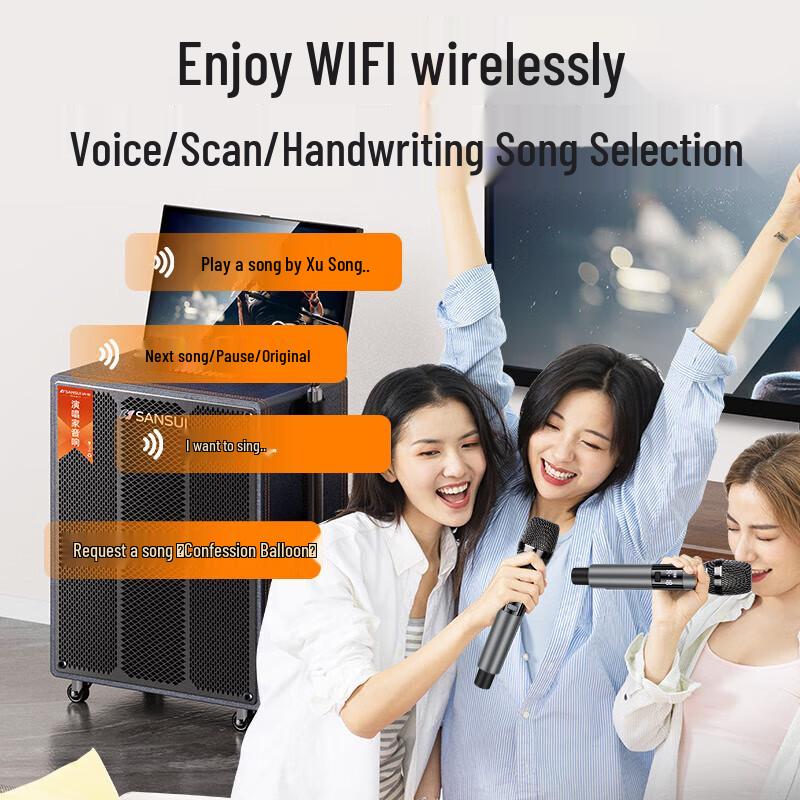SANSUI PE159 Portable Outdoor KTV Smart Speaker System