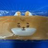 This Is an Unopened DAY6 Japan MDI Hairband Case.