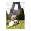 LIV HEART Bolster Cushion Marshmallow Animal Pug Hana (Total Length Approx. 27cm) Fluffy Chewy 48656-32