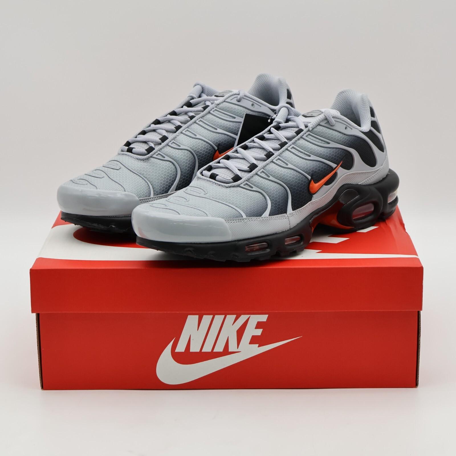 DM0032-011 Nike Air Max Plus Вольф Грей (Мужской) 12