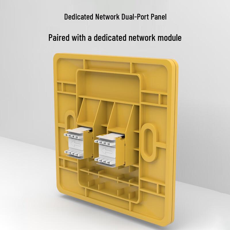 HAILE Cat6 Dual-Port Network Conversion Kit
