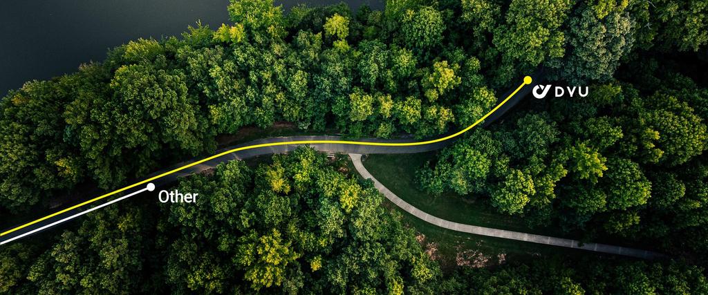 DYU C2 Electric Bicycle 350W Motor, 48V 7.5Ah Battery, 16 Inch Tires, Range 45KM, Foldable, Folding E-Bike