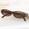Cute Cat Eye Small Frame Sunglasses Women New Fashion Sexy Leopard Sun Glasses Ladies Retro Trendy Decorative Shades Eyeglass