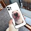 Walter Dog Meme Cute Phone Case For iPhone 16 15 14 13 12 11 Pro Max 12 13 mini XR 15 16 Plus 16e Cover Shell