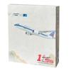 China Southern C919-16 Aircraft Model