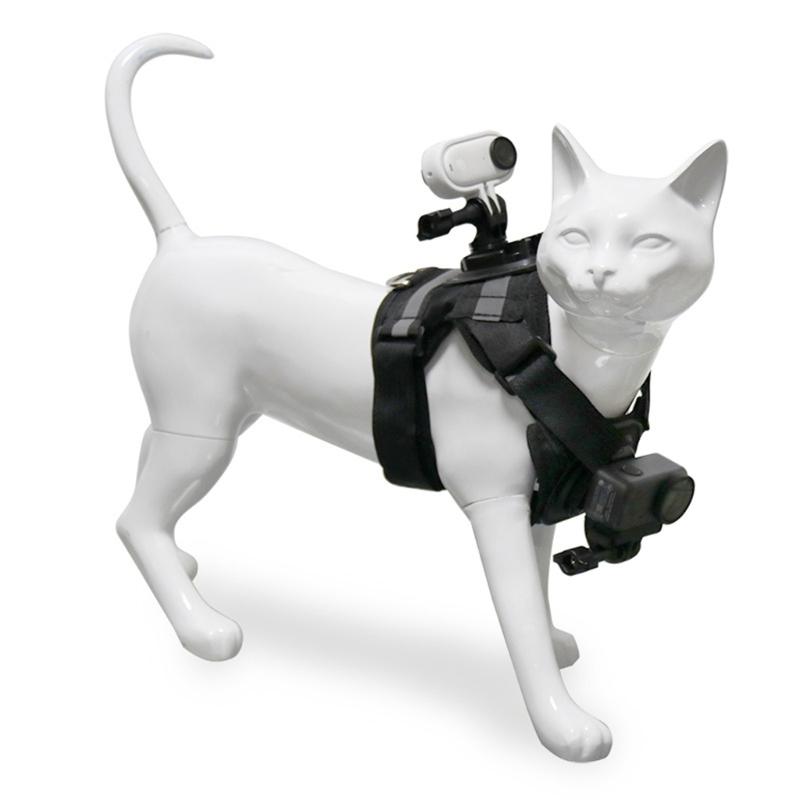 Comfortable Pet Camera Vest Supporting Two Action Cameras For Feline First Person View Photoshoots Easy Adjustment