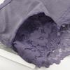 Women Plus Size Panties Sexy Lace Comfortable and Breathable Middle Waist Lingerie 3Xl - 5Xl - T020