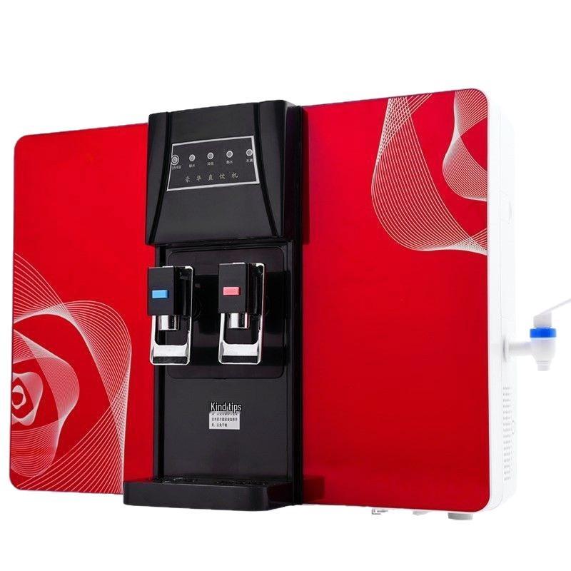 Household Water Purifier & Rapid Heater: RO Filter & Direct Drinking System