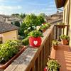 Plastic Mini Succulent Pots Heart Pattern Eco-Friendly Planter Green Onion Pots  Office