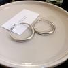 High-End Light Luxury Cold-Style Metal Hoop Earrings
