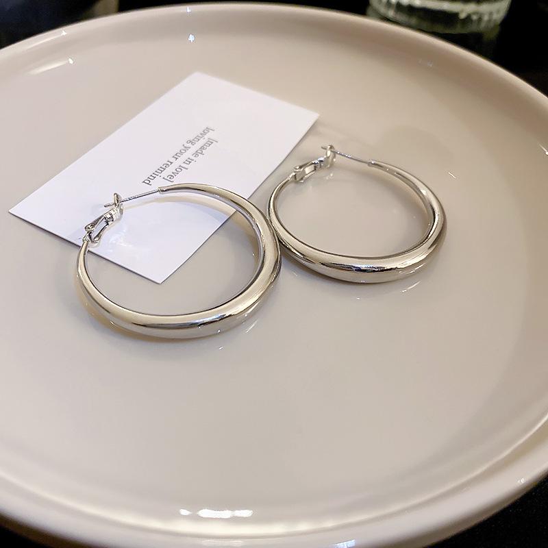 High-End Light Luxury Cold-Style Metal Hoop Earrings