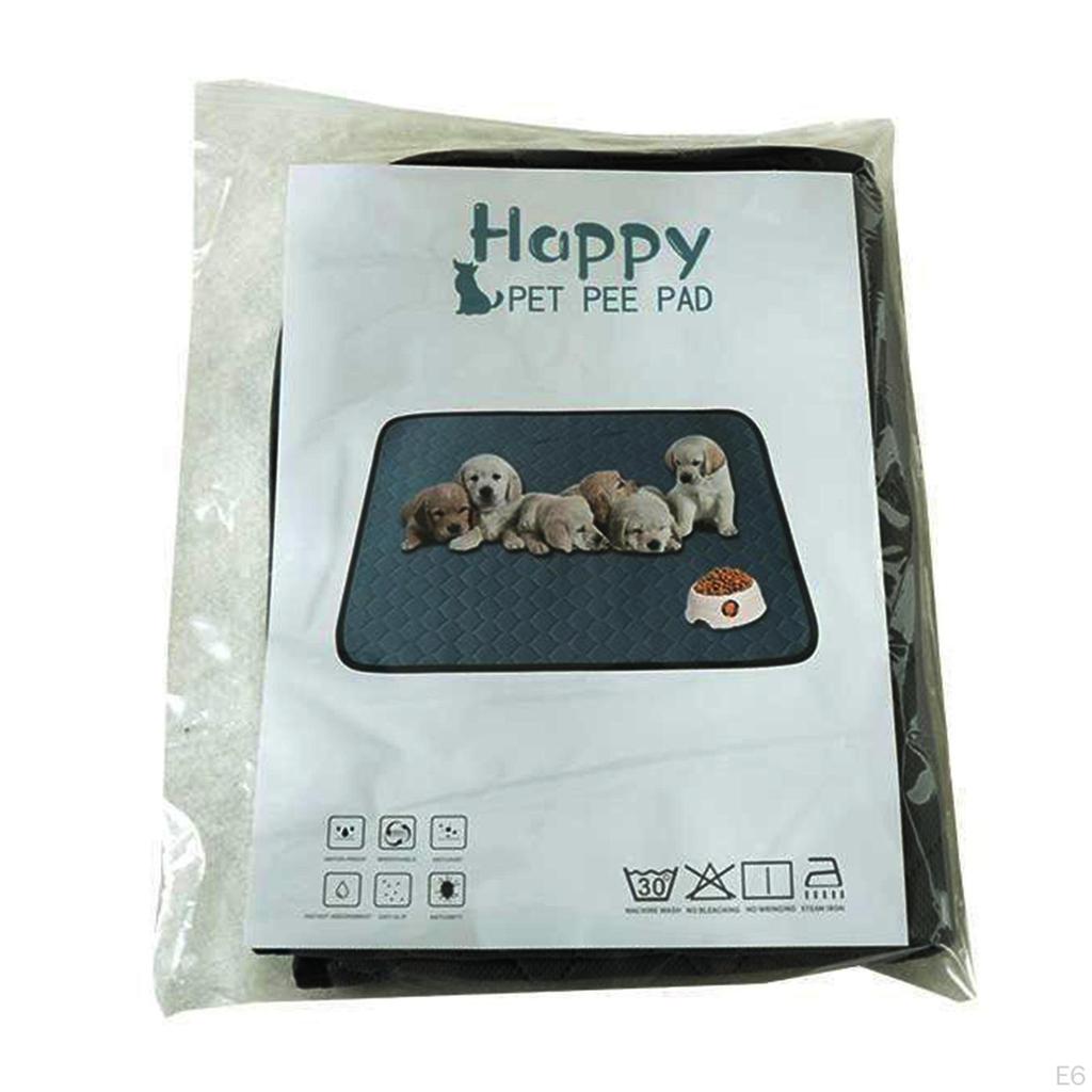 Comfortable And Training Mat for Dogs, Making Crawl