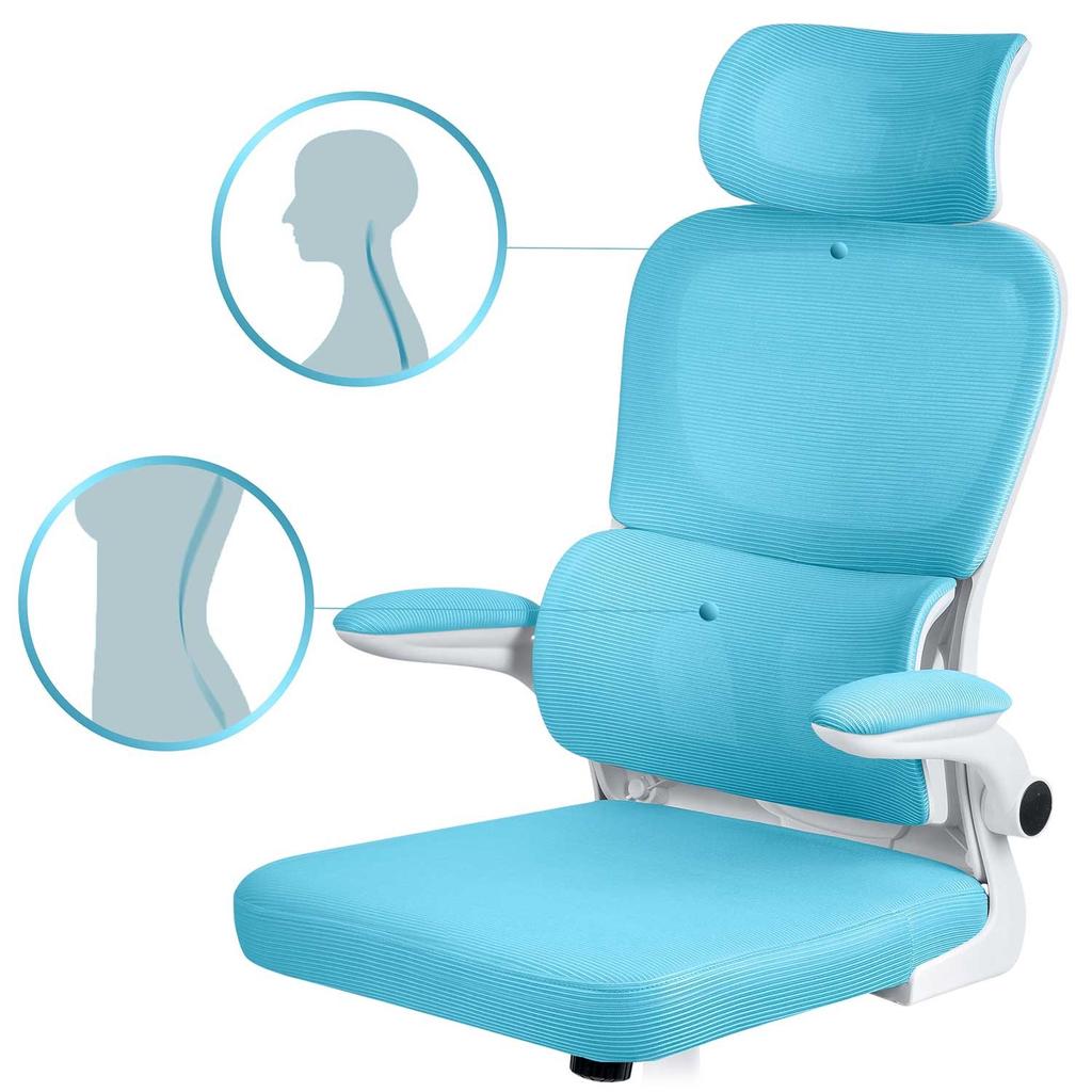 Sofotel Formax Office Chair With Micromesh