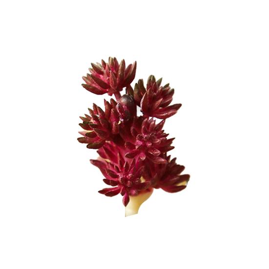 1Pc Artificial Succulent Plant Flocking Flower DIY Home Office Bonsai Decoration